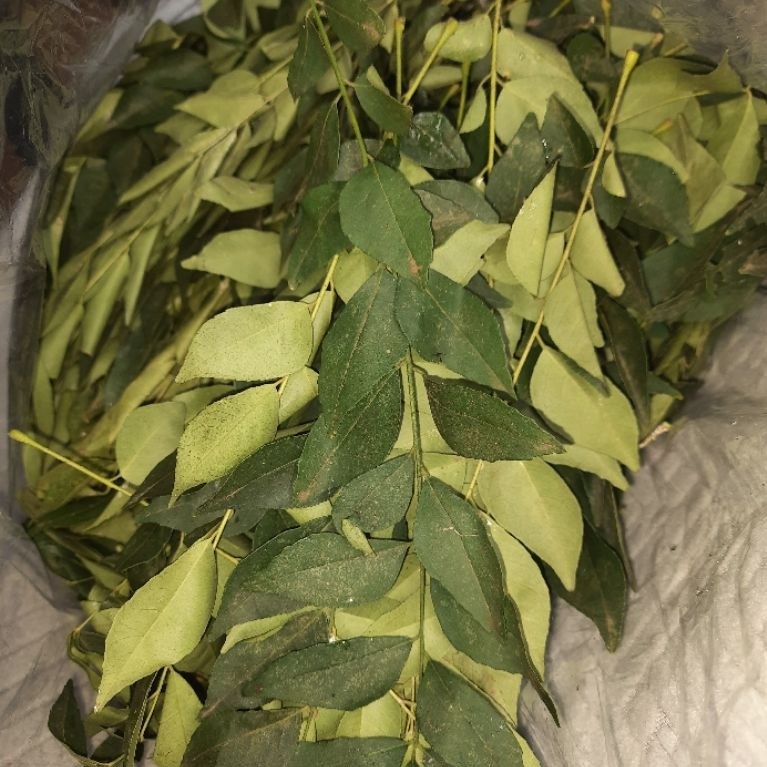 PRODUK SALE daun kari 1 kg