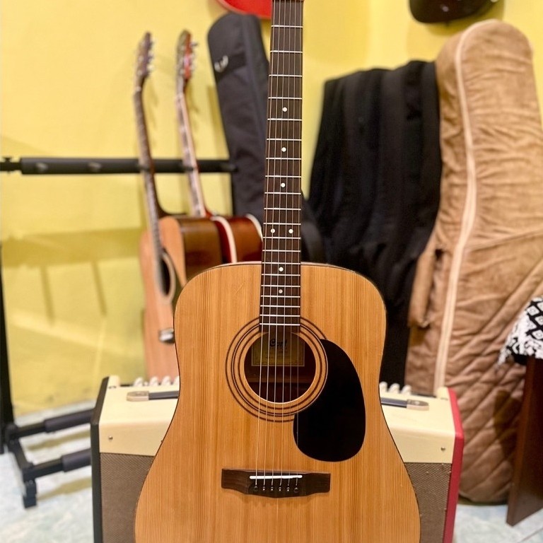 Gitar Akustik Cort Ad810 NS