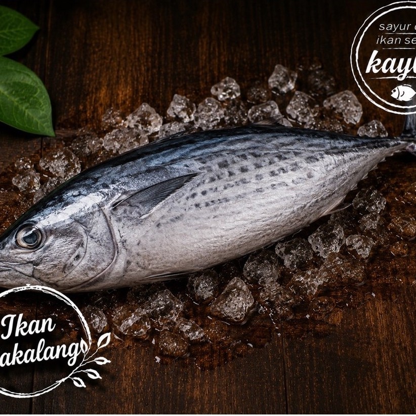 Ikan Cakalang / Cakalang Potong