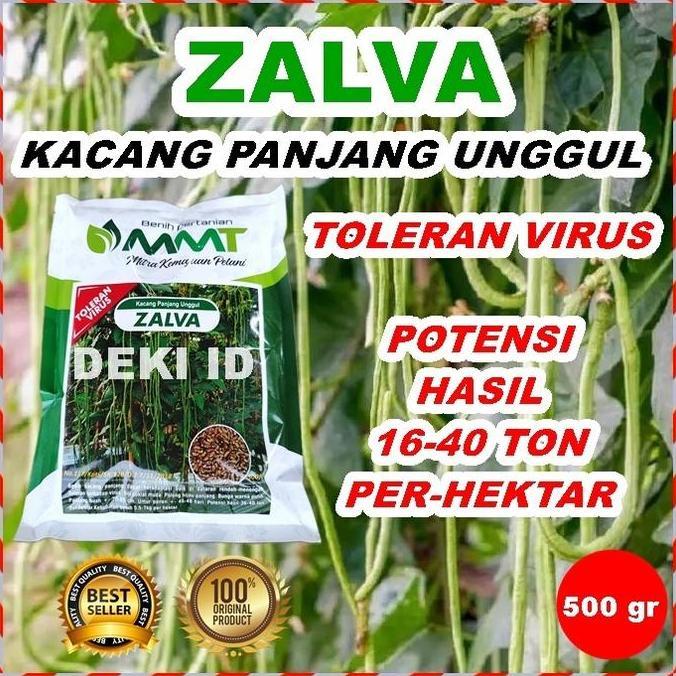 Benih Kacang Panjang Zalva 500 gr Bibit Unggul MMT