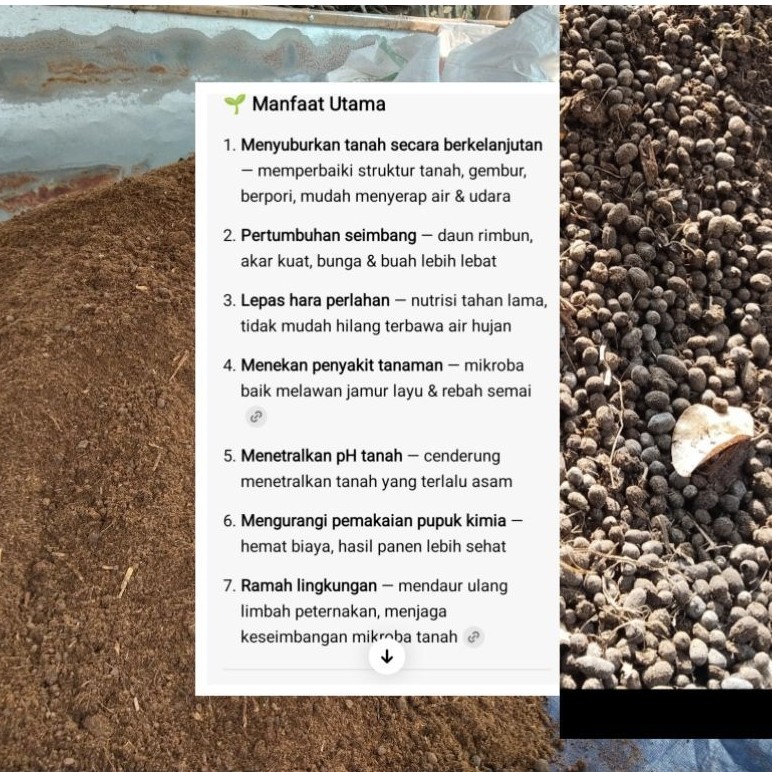 kohe kambing fermentasi kemasan 1 kg