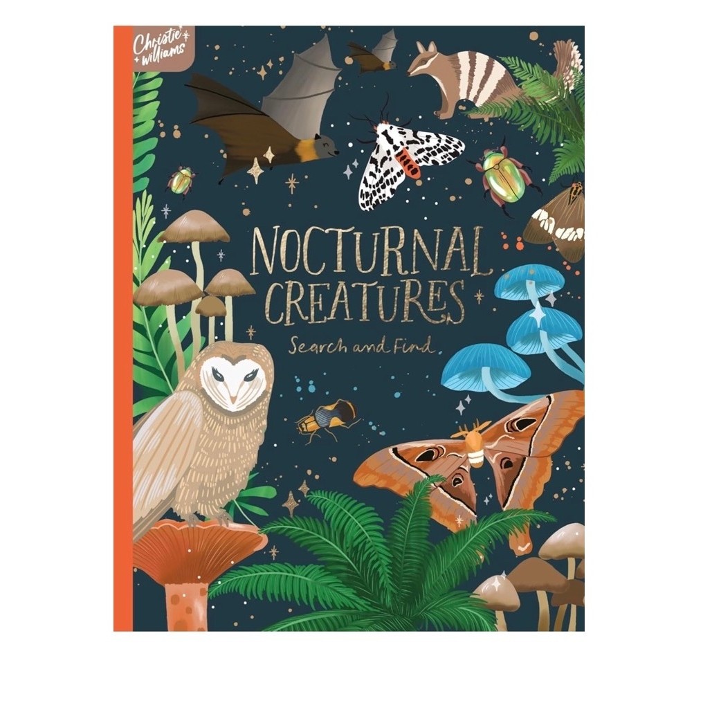 Nocturnal Creatures Search and Find Book