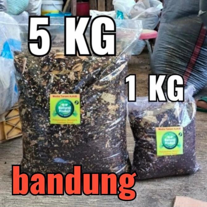 Clickgarden- Media Tanam Ajaib 5 Kg, Metan Aglonema, Metan Varata, Metan