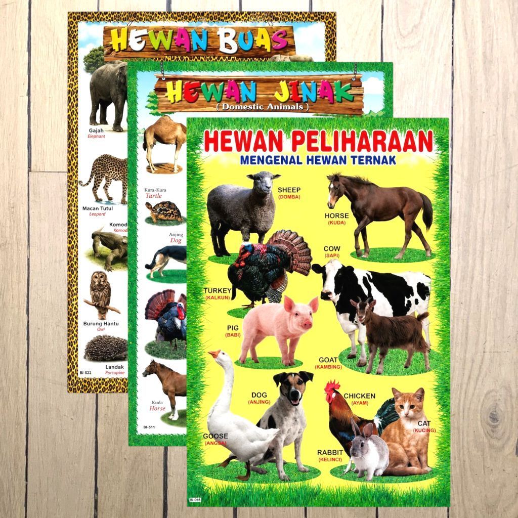 Paket 3 Poster Edukasi, Hewan Buas, Hewan Jinak, Hewan Ternak