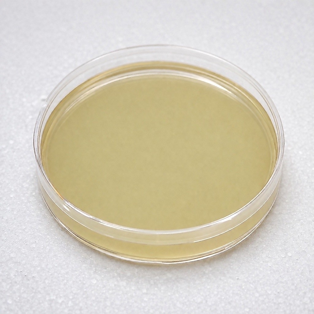 Mueller Hinton Agar (MHA)