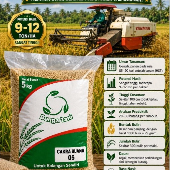 BENIH UNGGUL CAKRABUANA 05 5KG ORIGINAL