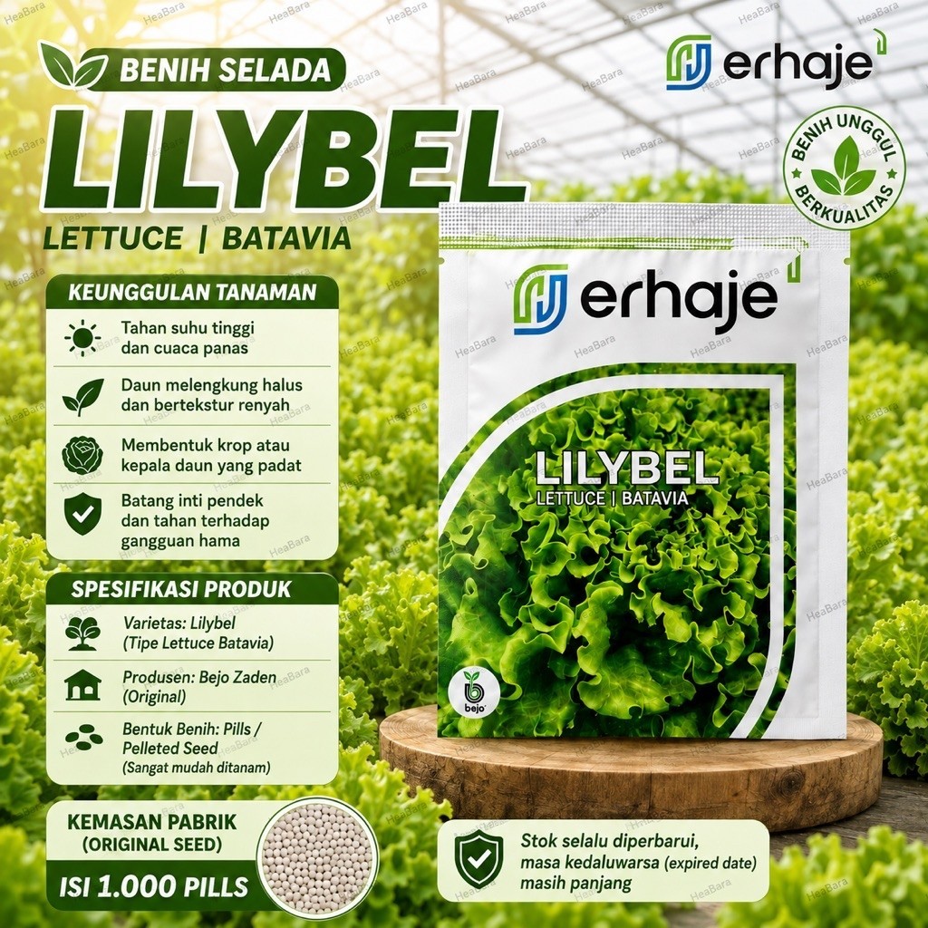 Benih Selada LILYBEL Bejo Seed 1000 Pills import