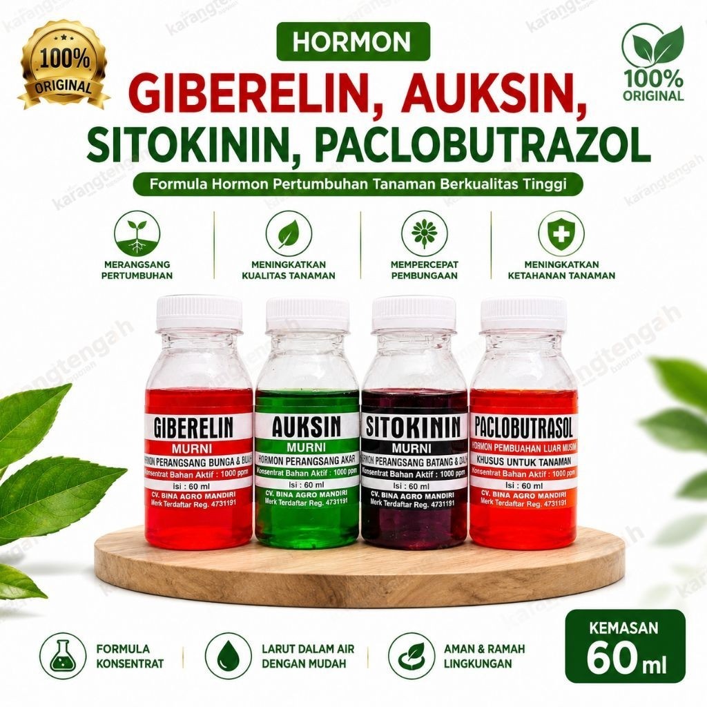 Hormon Paclobutrazol, Auksin, Giberelin, Sitokinin