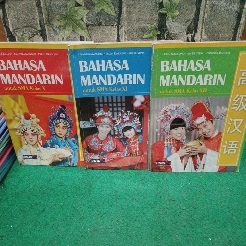 Buku Bahasa Mandarin SMA kelas X