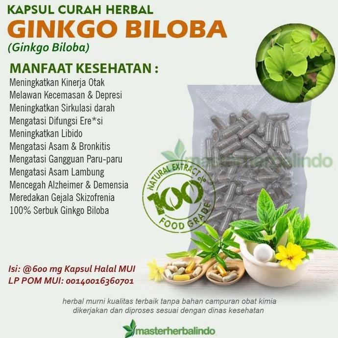 Sehatya- Ginkgo Biloba Kapsul Curah Herbal Daya Ingat Fokus Otak Anti Aging Alami Stamina Tubuh