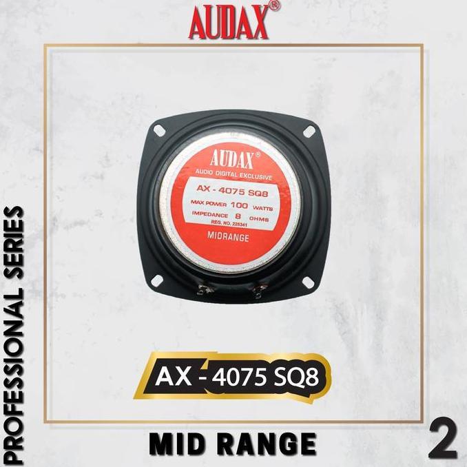 Speaker Mid Range AX 4075 SQ8 AX-4076 SQ8 Speakers