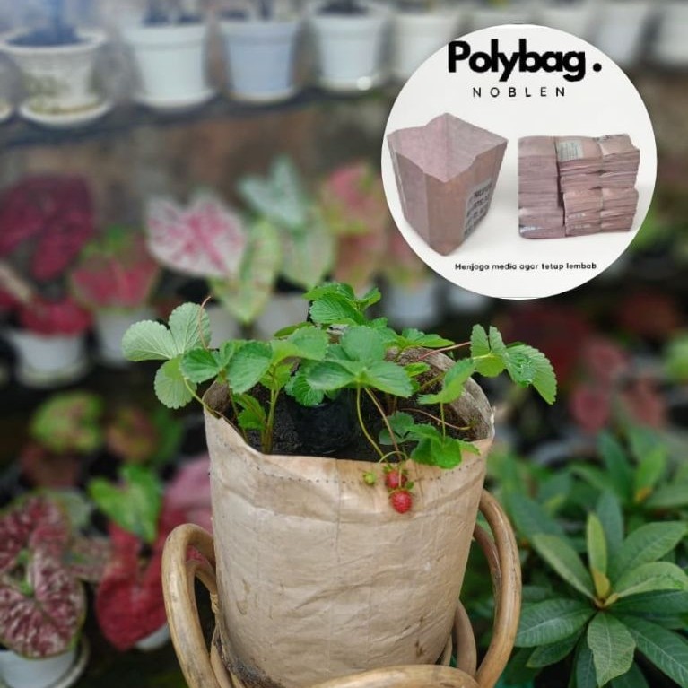 Polybag Noblen