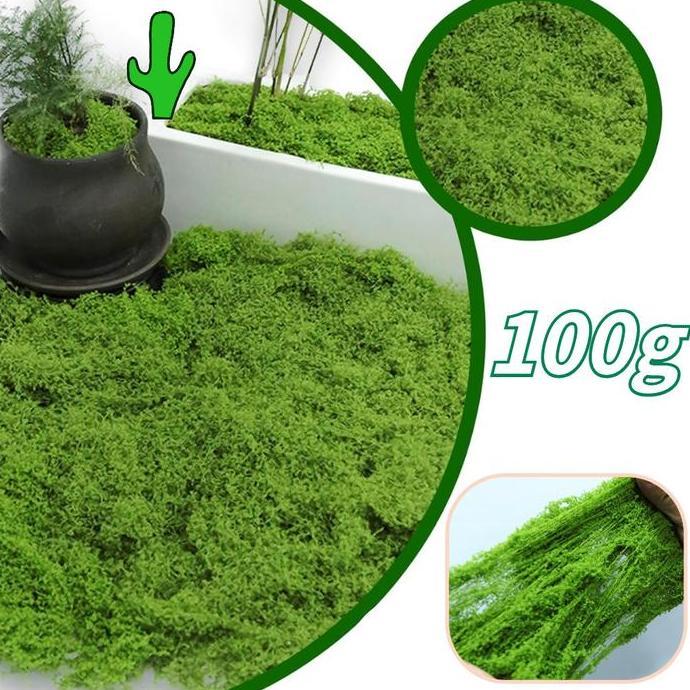 100g Rumput Sintetis Aquascape Aquarium | TAwetan Tahan Lama Rumput Sintetis Aquascape Jadi