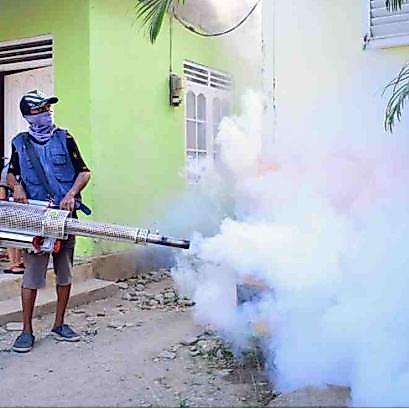 Jasa Fogging nyamuk DBD