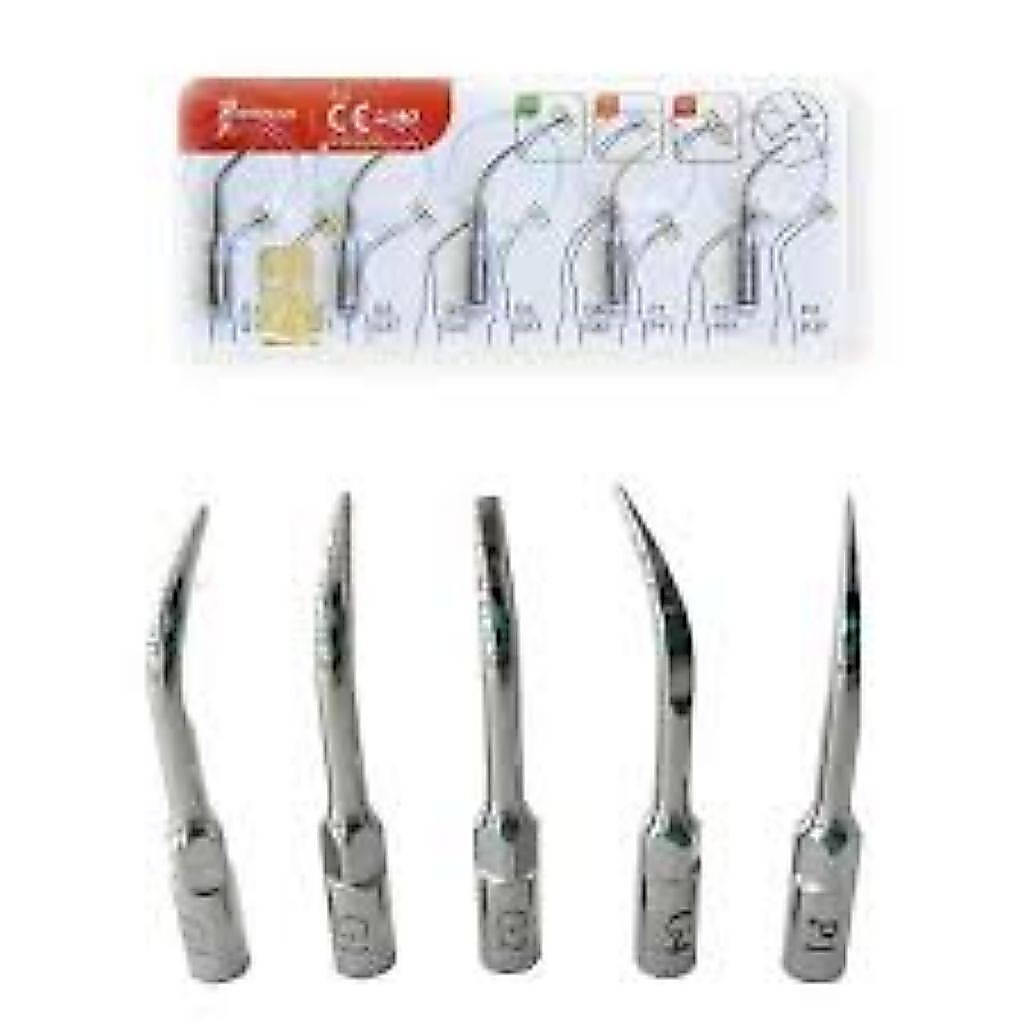 tip scaler woodpecker original // dental // scalling // wcaller