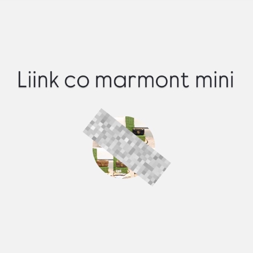 marmont mini