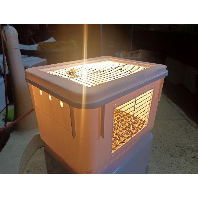[AZF] Box Terarium lolohan Burung