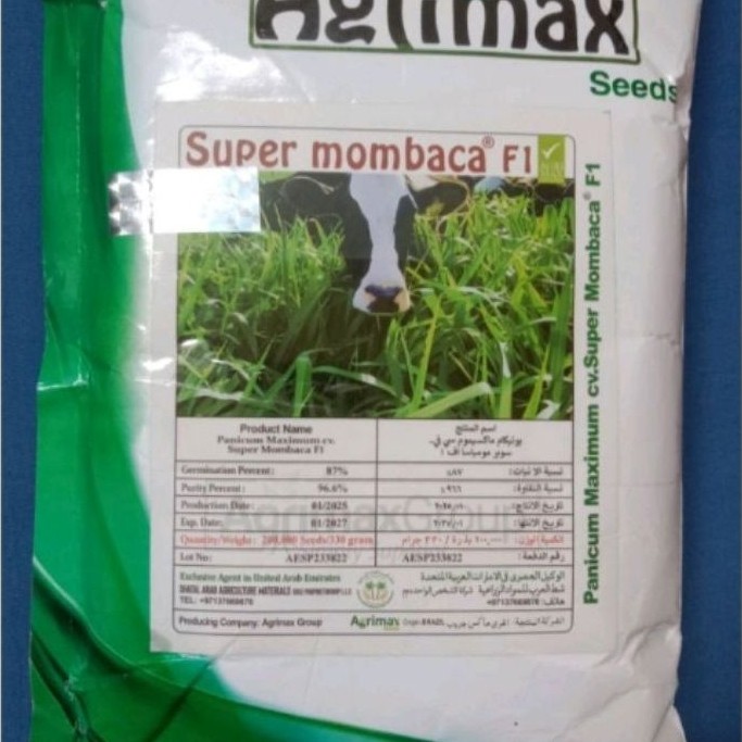 isi 3 gram super mombaca f1 mombasa ghine mombaca triple f1