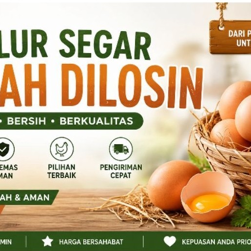 Telur Ayam Negeri Fresh 1kg bonus royco 1