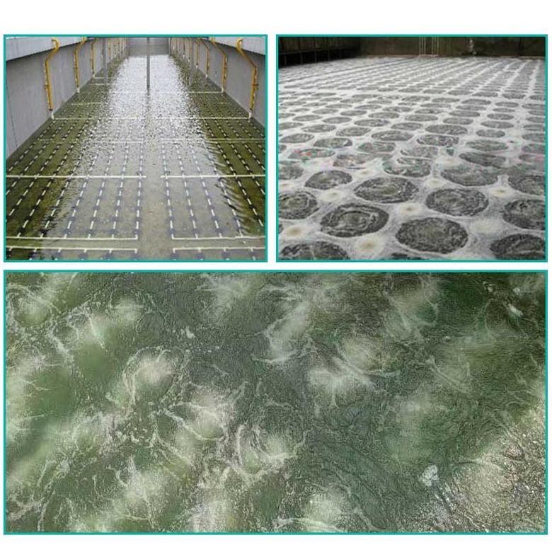 Fine Bubble Diffuser 10 Inch Aerator Kolam Bioflok Premium Difuser Gelembung Halus Untuk Tambak Kola