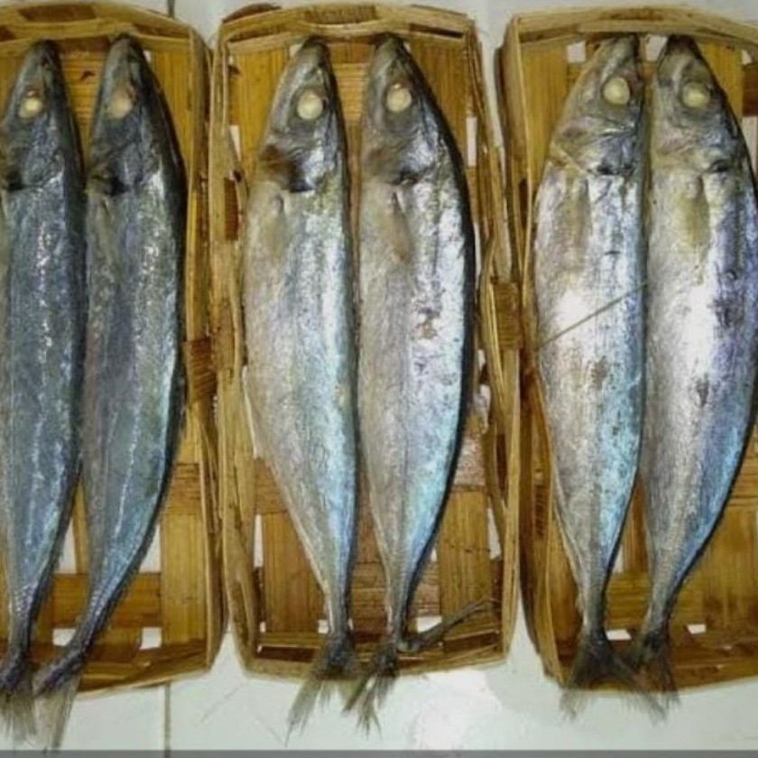 Ikan cue keranjang Salem 10 ribu per keranjang isi 2