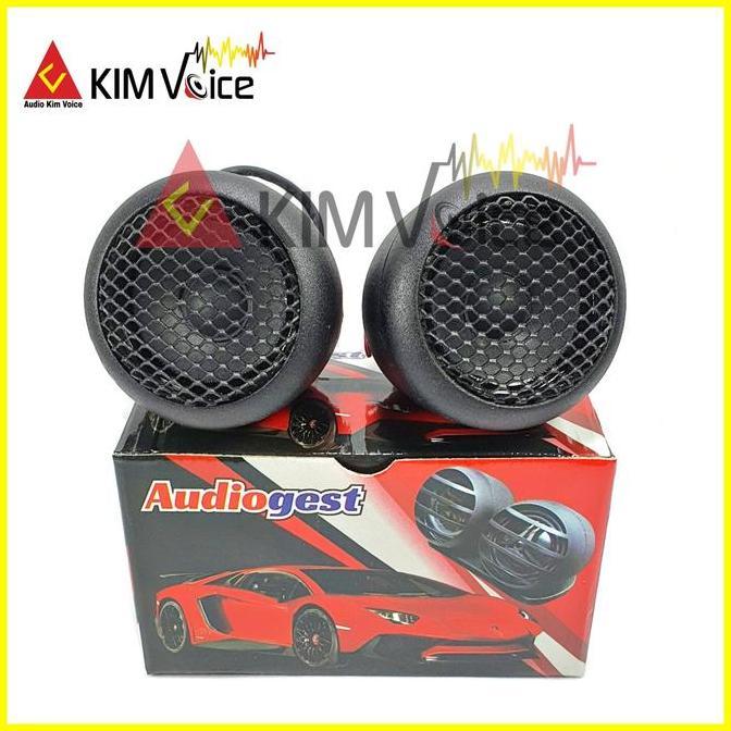 Speaker Fullrange Audiogest 2 inch Fullrange Celavin Design