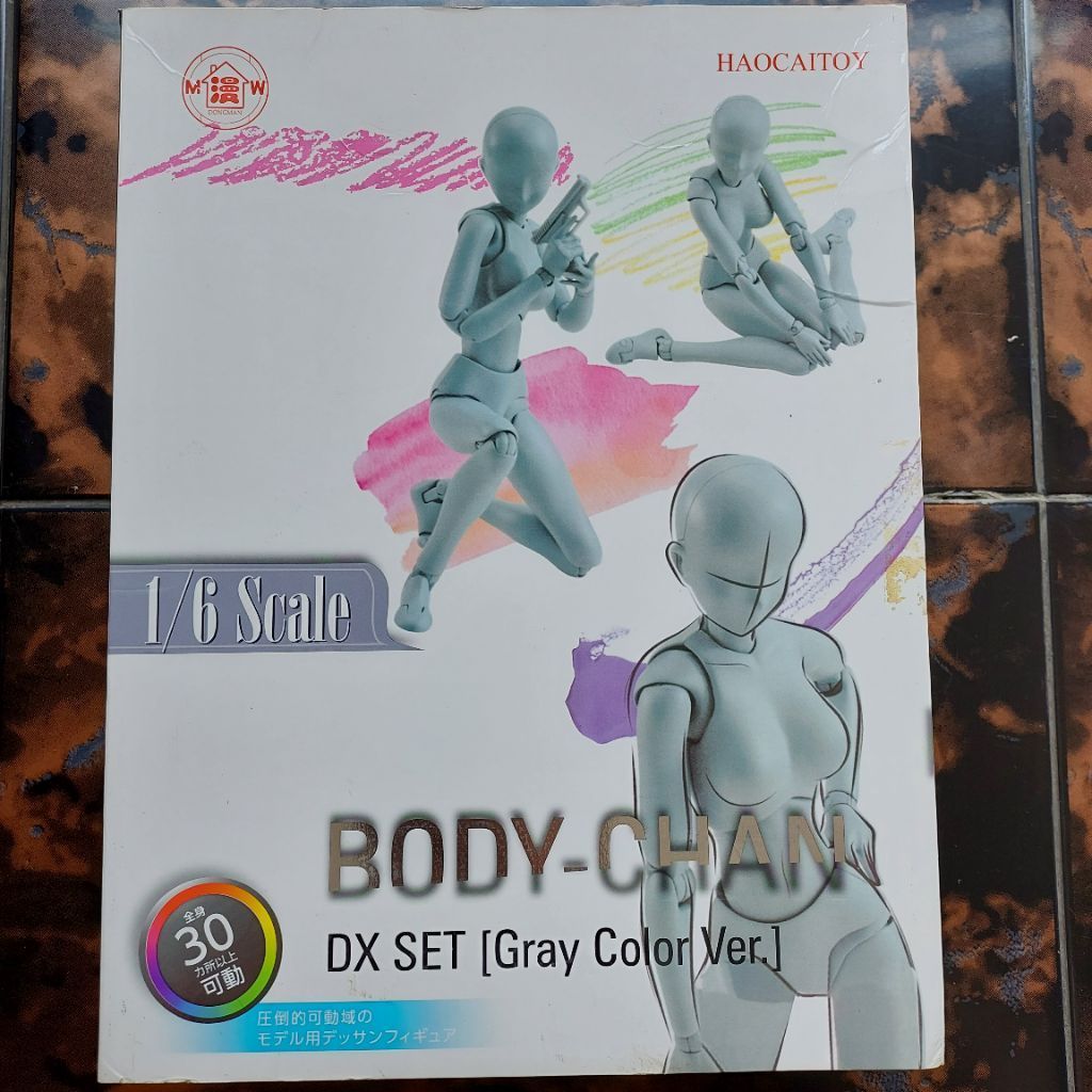 1/6 Body Chan Female Figure Haocaitoy