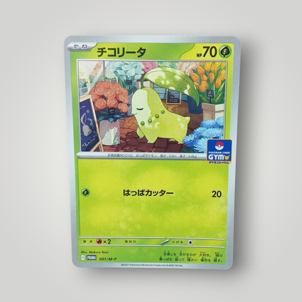 kartu pokemon Chikorita promo GYM JP