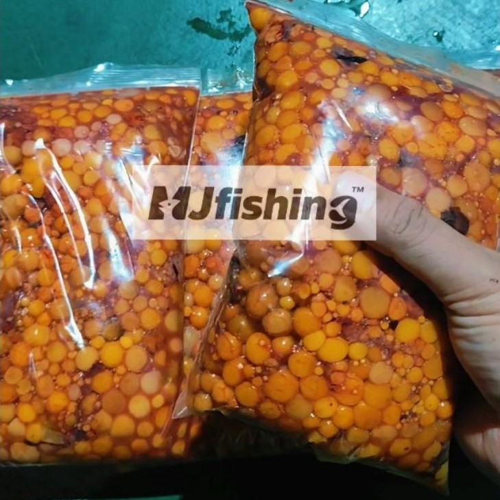 telur bulus 1 kilo