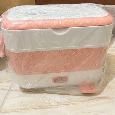 Electric lunch box