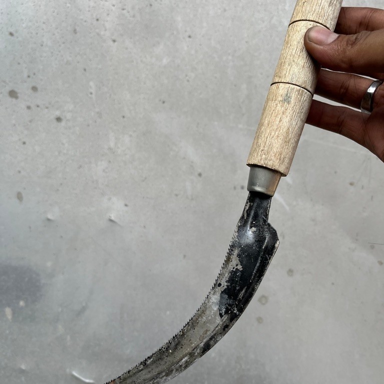 Arit Pari / Gergaji Aret / Aret Potong padi