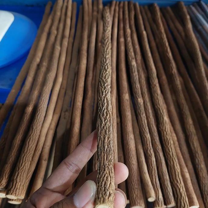 tangkringan asem jawa super