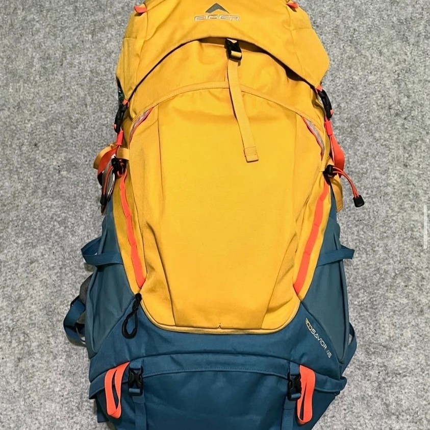 ecosavior 45