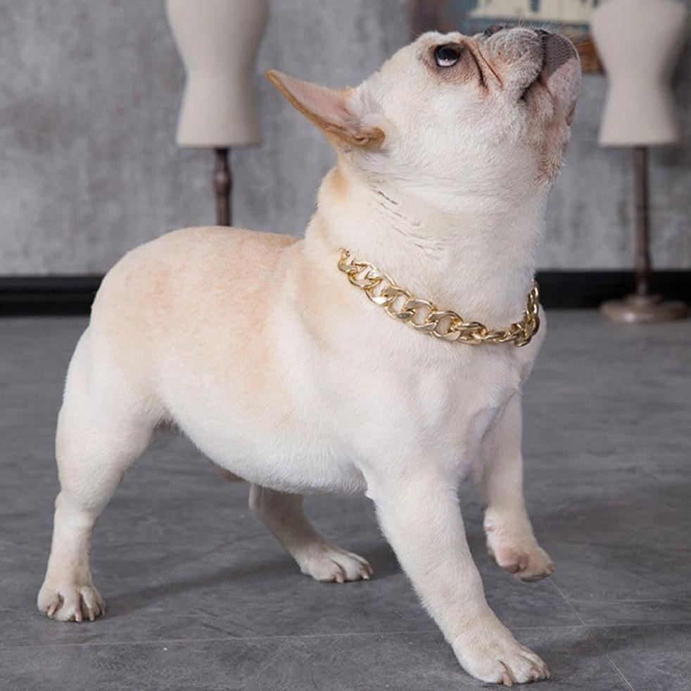 Kalung Emas Anjing Kucing / Aksesoris Kalung Rantai Anjing / Kalung Anjing Pitbull Bulldog Aksesoris