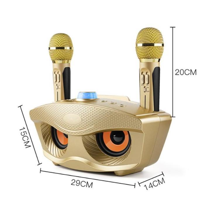 Nada- Mic Karaoke Wireless Speaker Bluetooth Sdrd Sd 306 / Sd 309 Dua Mic