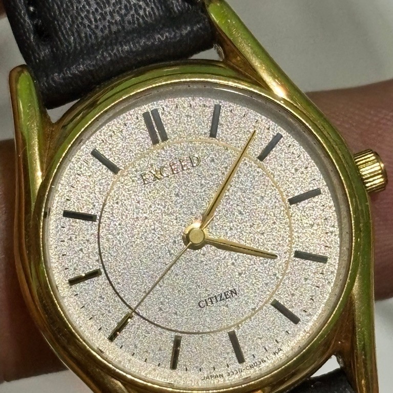 CITIZEN EXCEED GRAINY DIAL