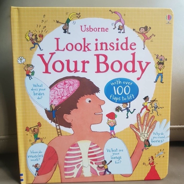 [ Boardbook ] USBORNE - Look Inside - Step Inside / Buku Edukasi Anak - Lift the Flap