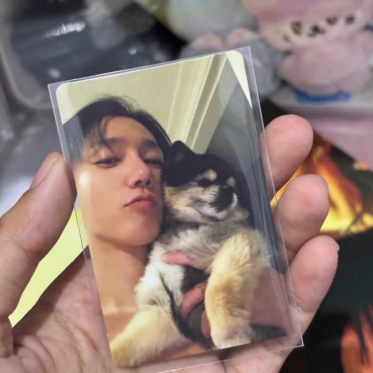 Photocard Yesung Japan