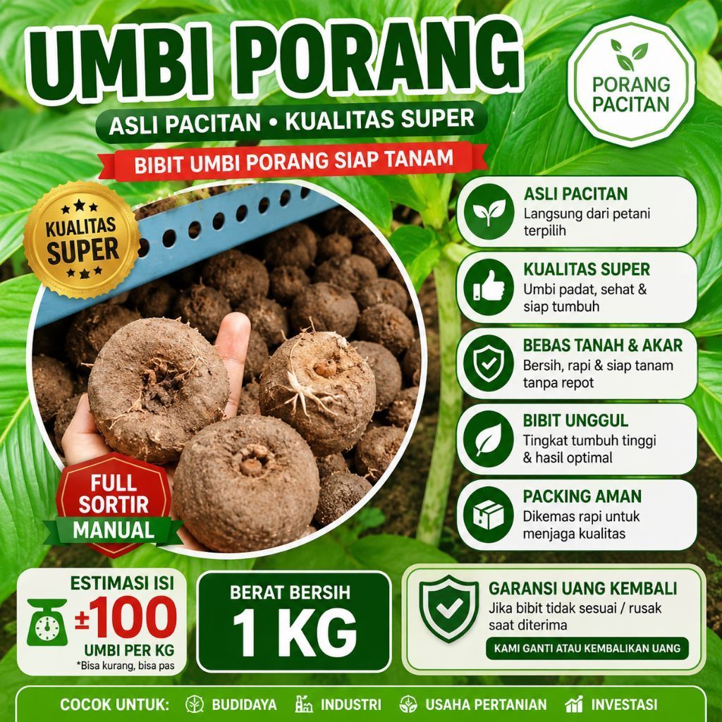 Bibit Umbi Porang Asli Dorman Isi ±100/Kg – Dari bubil Mini – Siap Tanam