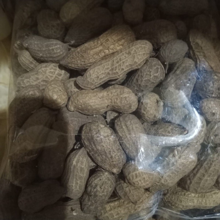 Kacang Kulit Dongkal
