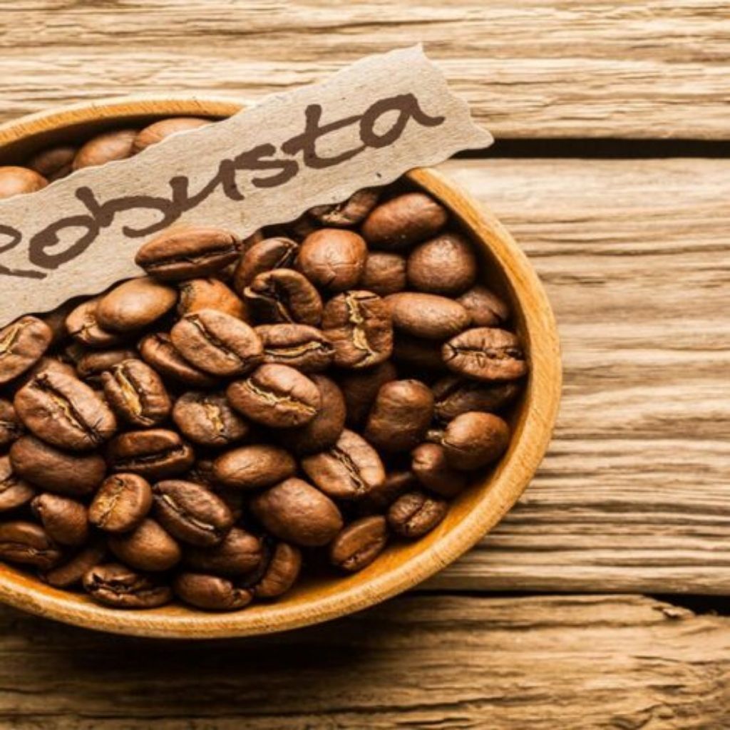 Kopi Robusta americano garut Cikuray  Dark Roast