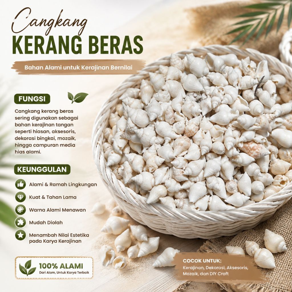 Cangkang kerang beras kerang kecil putih bersih kerang manik kerang pasir cangkang kerang hias kecil