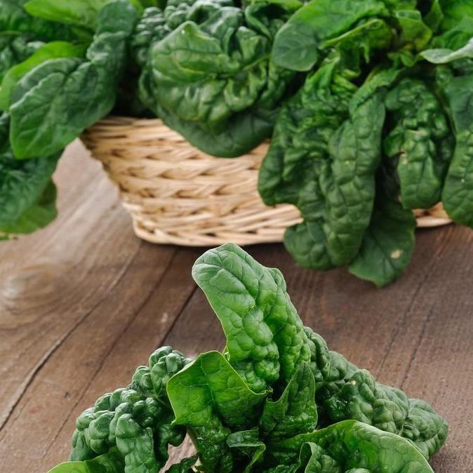 Promo Benih Bibit Biji Sayur Bayam Jepang Spinach Noble Giant Sayuran Import Diskon