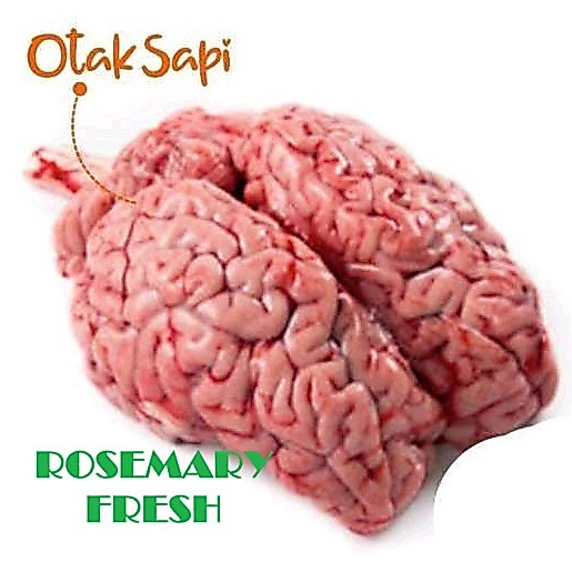 OTAK SAPI SEGAR PER PCS