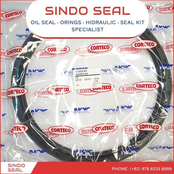 Oil Seal Tc 160X190X15 160*190*15 160 190 15 Nok