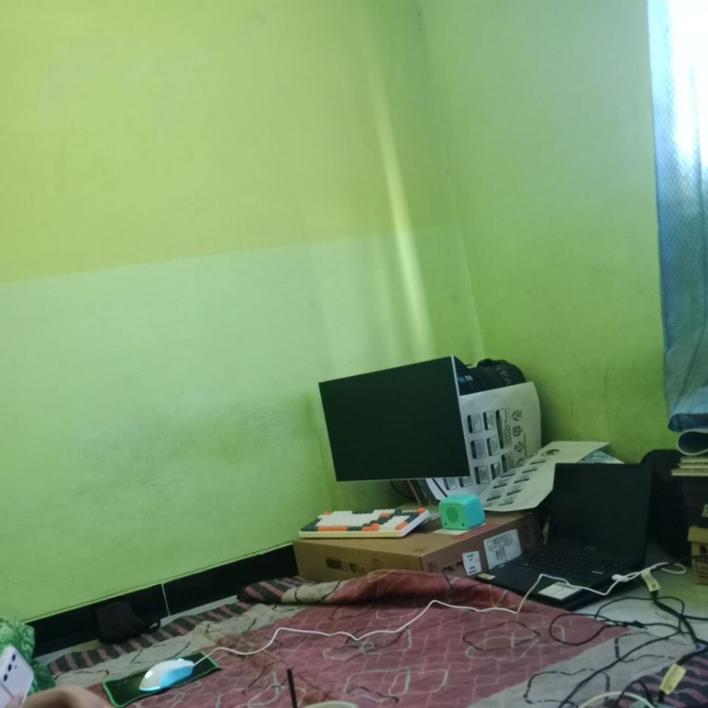 monitor lenovo l 24 i
