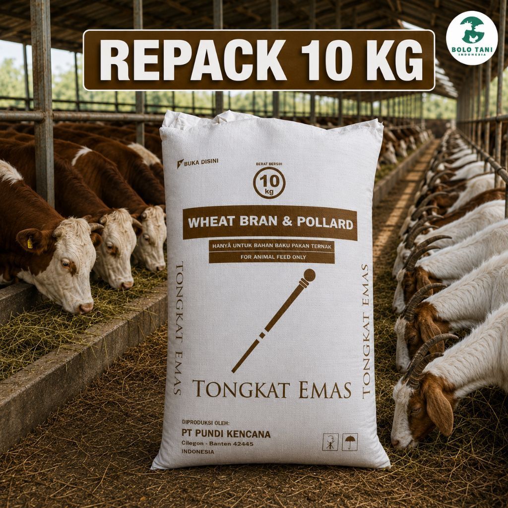 BRAN POLLARD TONGKAT EMAS - REPACK 10 KG - POLAR TONGKAT EMAS - POLAR PAKAN SAPI - POLAR PAKAN KAMBI