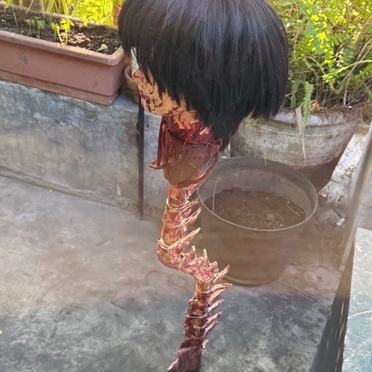 PEDANG YORU COSPLAY CHAINSAWMAN