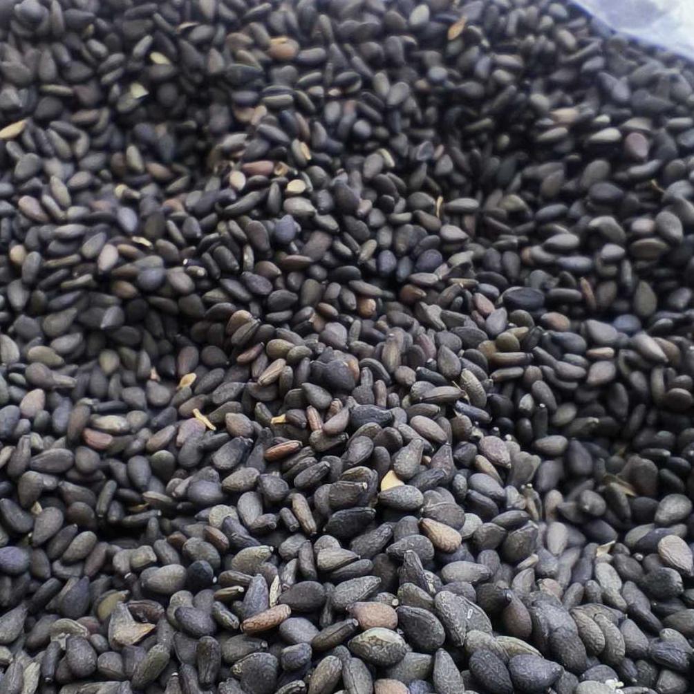 NEW PORODUK BIJI WIJEN HITAM LOKAL/ BLACK SESAME 500GR