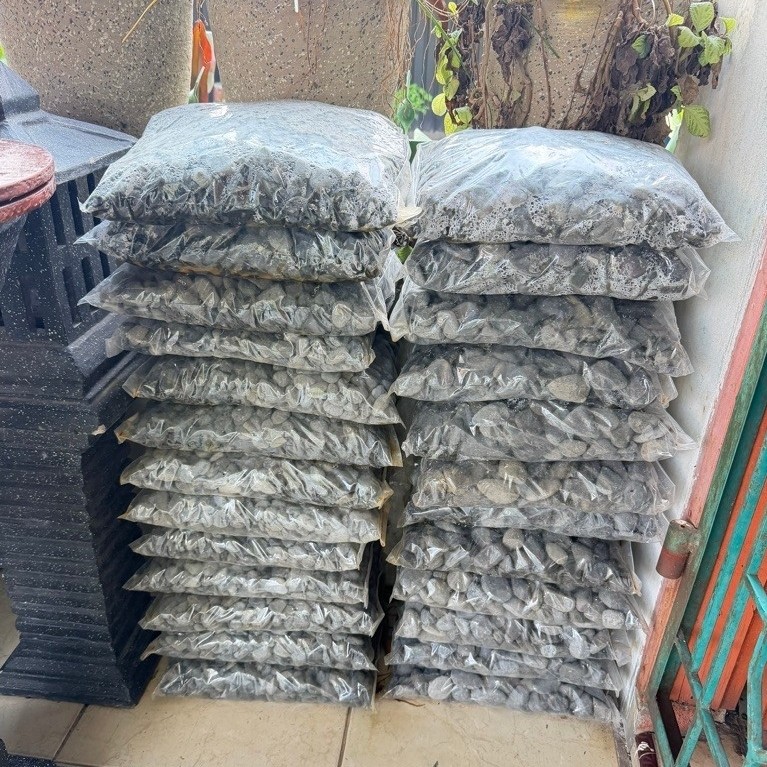 Batu Coral Hitam Untuk Hiasan Taman | Batu Hias Taman | Batu Coral Hitam | Batu Hitam